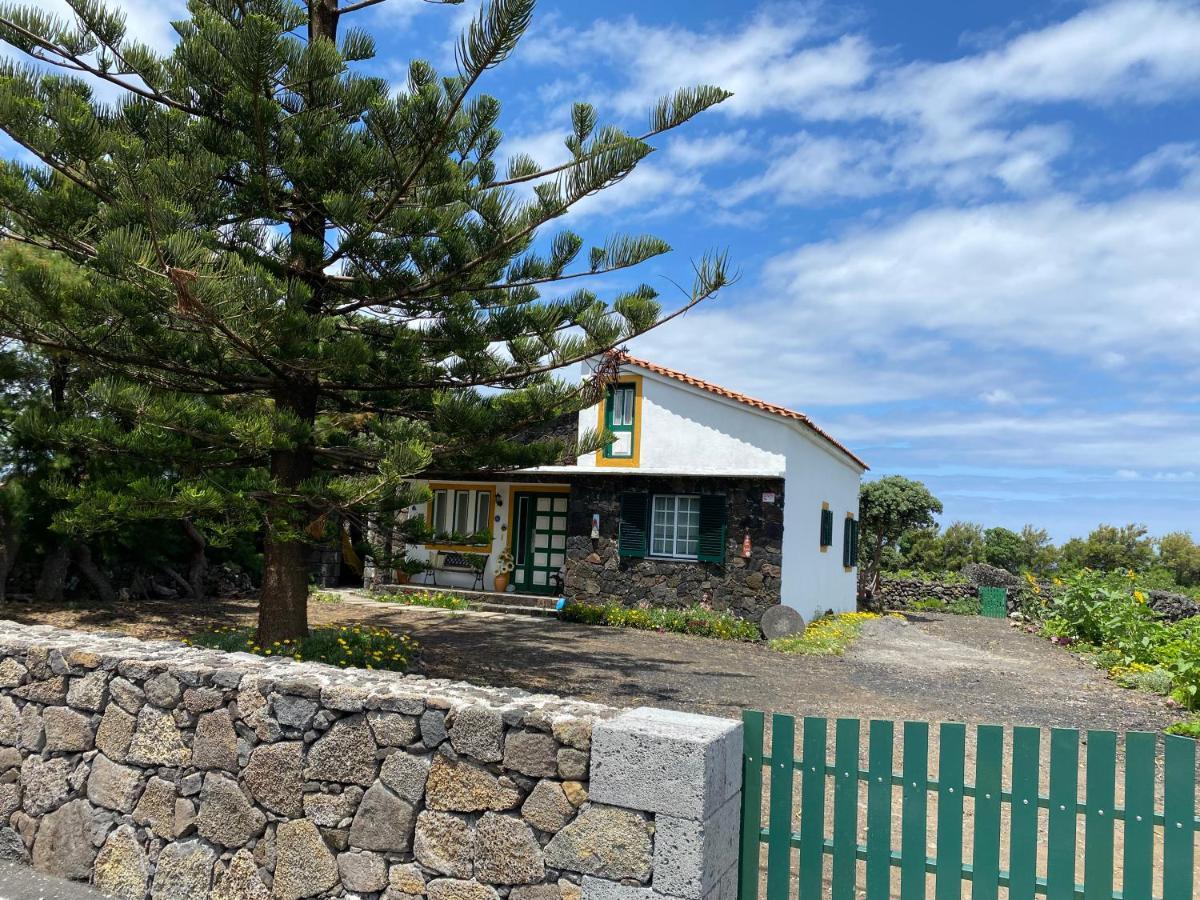 Casa Da Costa Villa Madalena  Eksteriør billede