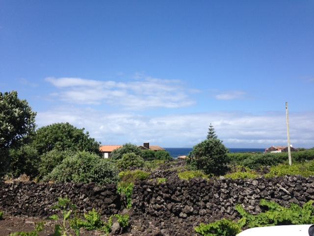 Casa Da Costa Villa Madalena  Eksteriør billede