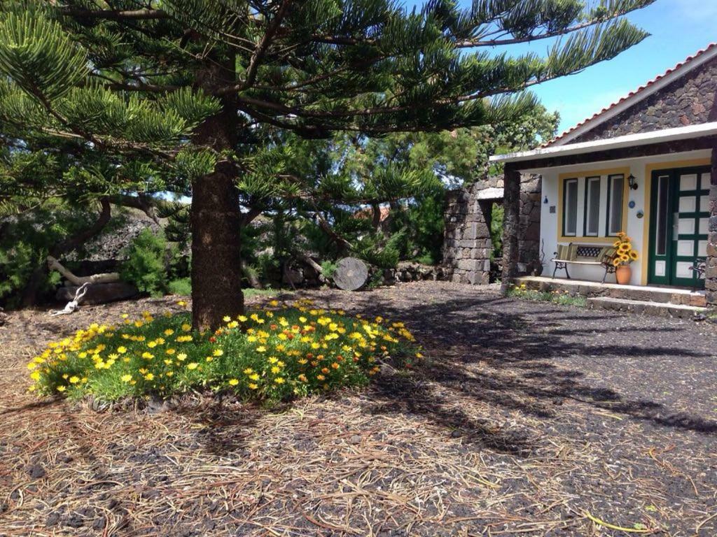 Casa Da Costa Villa Madalena  Eksteriør billede